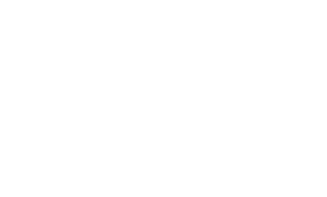 walt disney animation studios